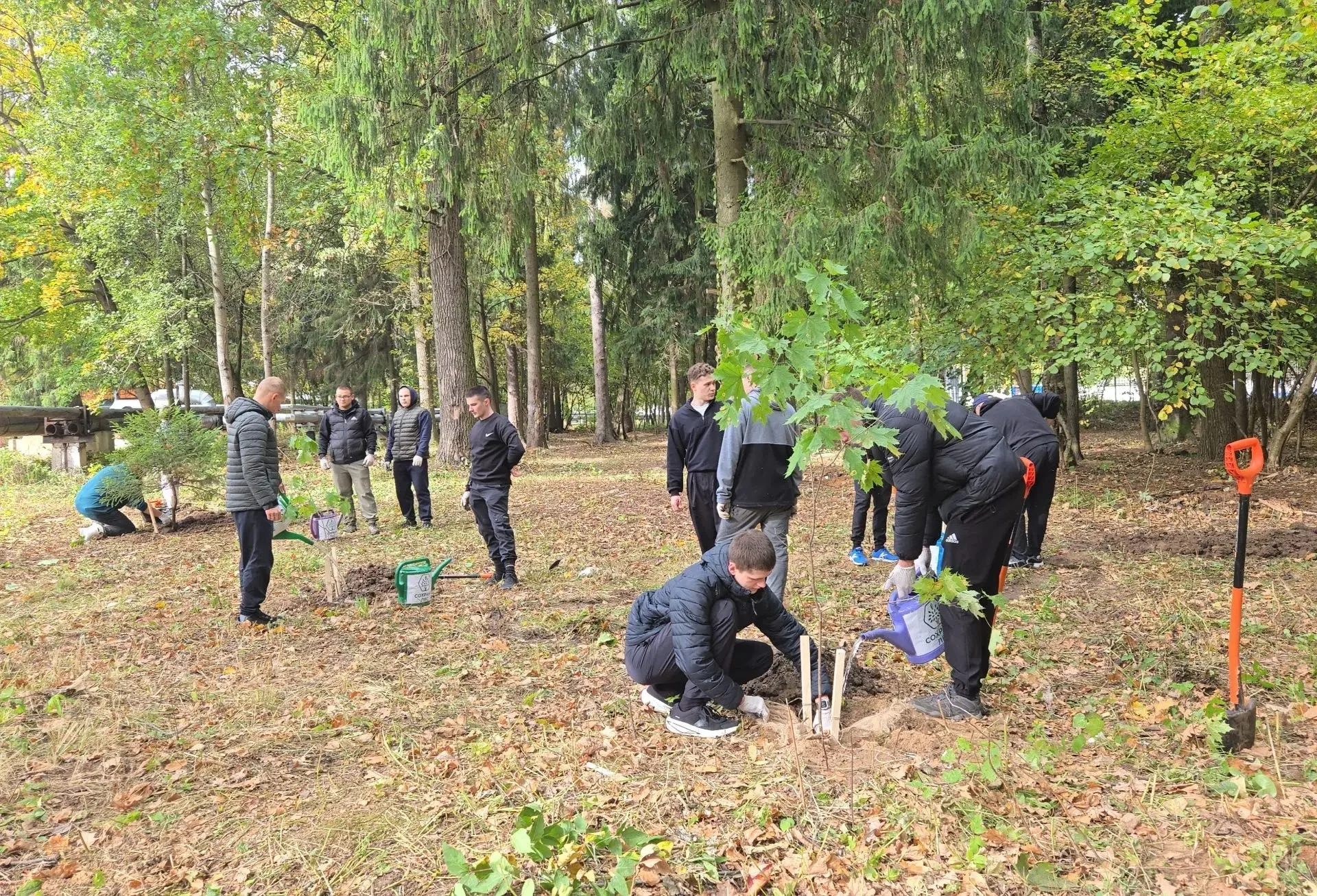 Двадцать молодых деревьев высажены в лесной зоне у Среднего озера, фотография 3